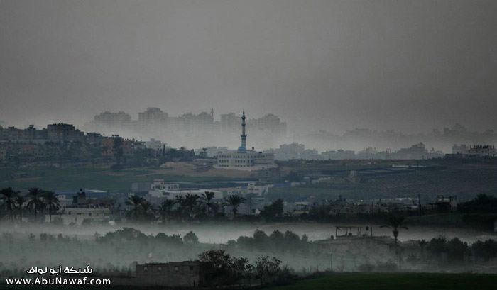 صور حرب غزة G05_17478597