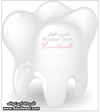  "Wisdom Teeth" 3.jpg