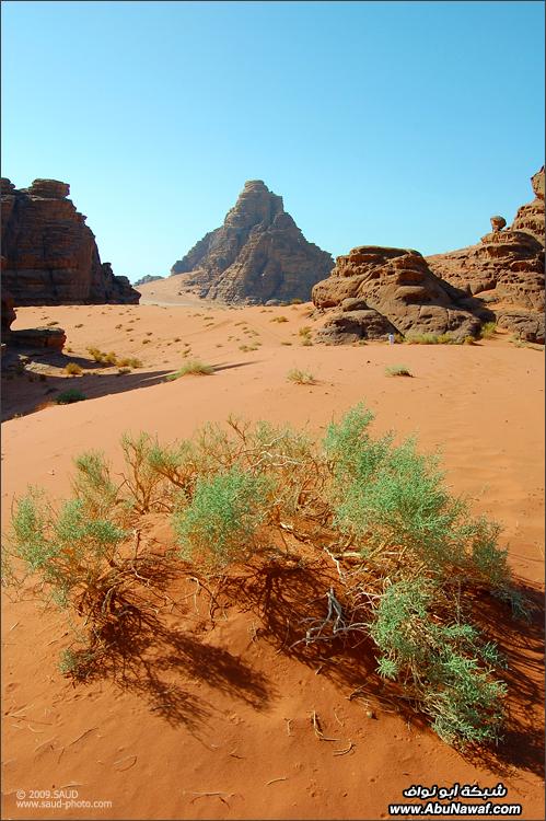 :: رحله شباب مصورين هآويين من تبوك::