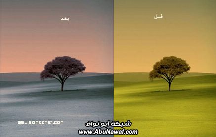 ضميني يمه واقري سورة الناس .. تصاميم