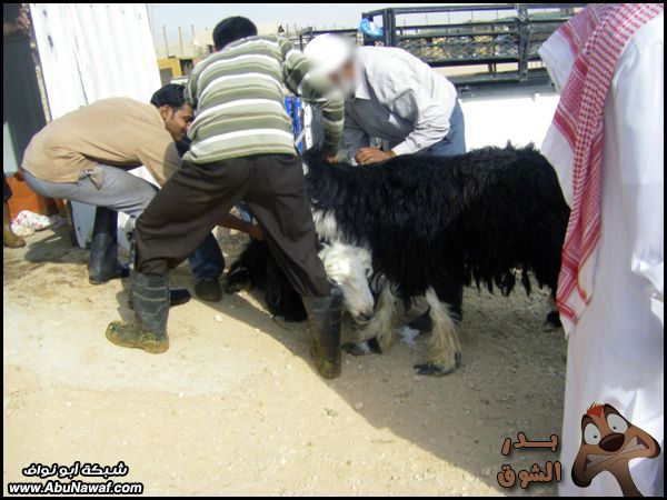 صور : العيد باكر أسعد الله ممساكـ ,والله مدري وين خدٍ لمسته!!