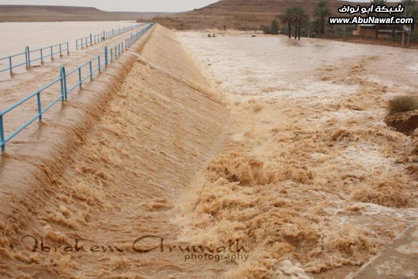 تقرير مصور : جولات صباحية بنكهة ضبابية