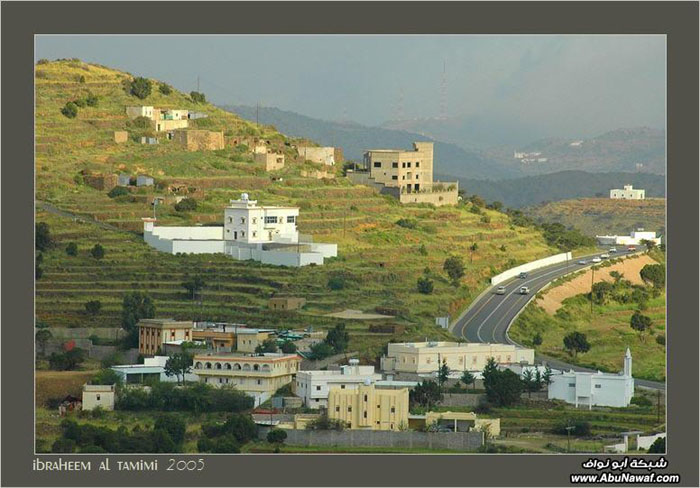 إحساس الضـوء .. ( 7 )