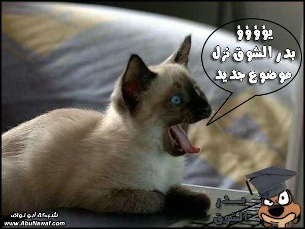 صور : هي الحياة بالنسبة لي, بحلوها و بمرّها, محتاج لها!!