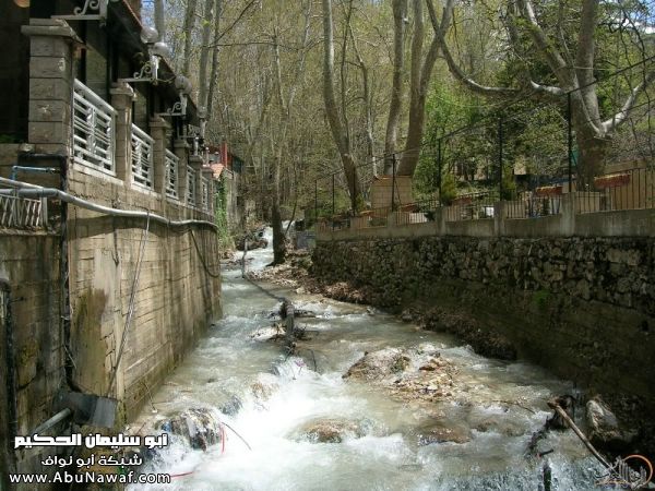 تقرير مصور رحلتي إلى لبنان (لبنان لما تزهر ) تقرير مصور رحلتي إلى لبنان (لبنان لما تزهر )