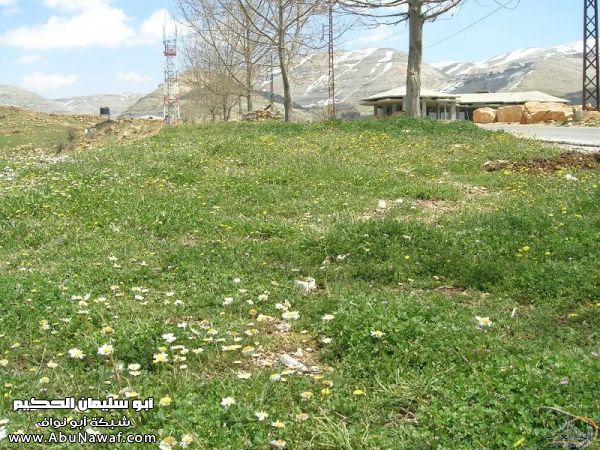 تقرير مصور رحلتي إلى لبنان (لبنان لما تزهر ) تقرير مصور رحلتي إلى لبنان (لبنان لما تزهر )