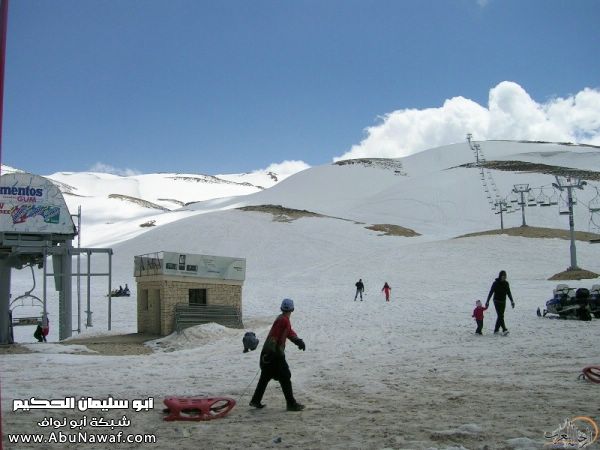 تقرير مصور رحلتي إلى لبنان (لبنان لما تزهر ) تقرير مصور رحلتي إلى لبنان (لبنان لما تزهر )