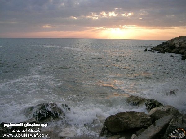تقرير مصور رحلتي إلى لبنان (لبنان لما تزهر ) تقرير مصور رحلتي إلى لبنان (لبنان لما تزهر )
