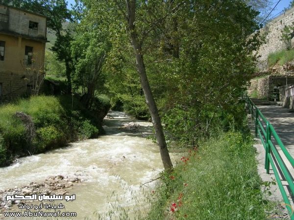 تقرير مصور رحلتي إلى لبنان (لبنان لما تزهر ) تقرير مصور رحلتي إلى لبنان (لبنان لما تزهر )