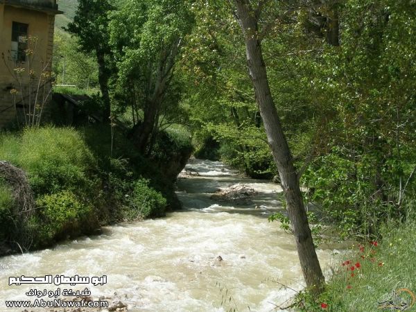 تقرير مصور رحلتي إلى لبنان (لبنان لما تزهر ) تقرير مصور رحلتي إلى لبنان (لبنان لما تزهر )