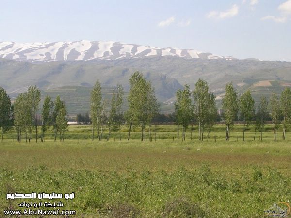 تقرير مصور رحلتي إلى لبنان (لبنان لما تزهر ) تقرير مصور رحلتي إلى لبنان (لبنان لما تزهر )