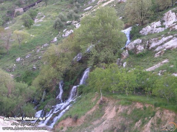 تقرير مصور رحلتي إلى لبنان (لبنان لما تزهر ) تقرير مصور رحلتي إلى لبنان (لبنان لما تزهر )