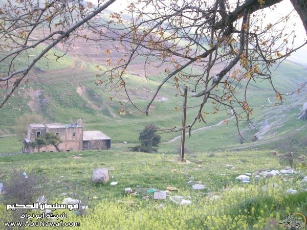 تقرير مصور رحلتي إلى لبنان (لبنان لما تزهر ) تقرير مصور رحلتي إلى لبنان (لبنان لما تزهر )