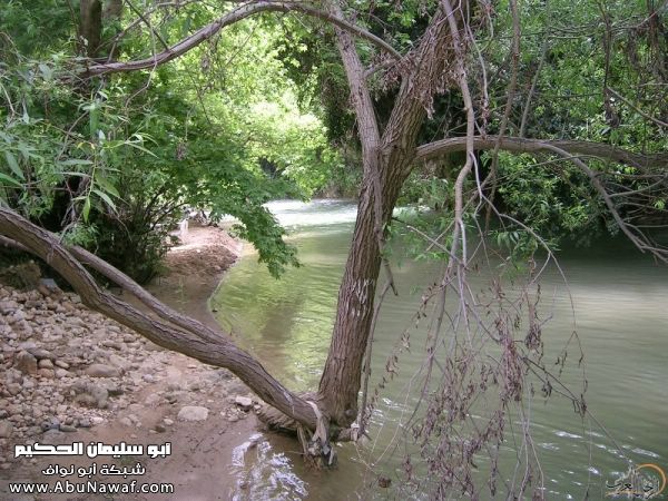 تقرير مصور رحلتي إلى لبنان (لبنان لما تزهر ) تقرير مصور رحلتي إلى لبنان (لبنان لما تزهر )