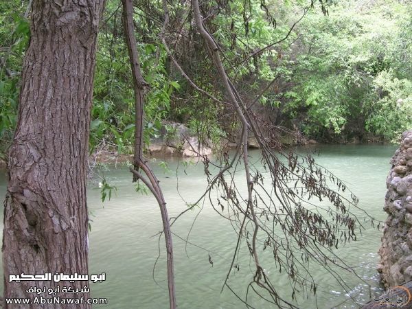تقرير مصور رحلتي إلى لبنان (لبنان لما تزهر ) تقرير مصور رحلتي إلى لبنان (لبنان لما تزهر )