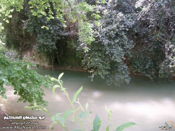 تقرير مصور رحلتي إلى لبنان (لبنان لما تزهر ) تقرير مصور رحلتي إلى لبنان (لبنان لما تزهر )