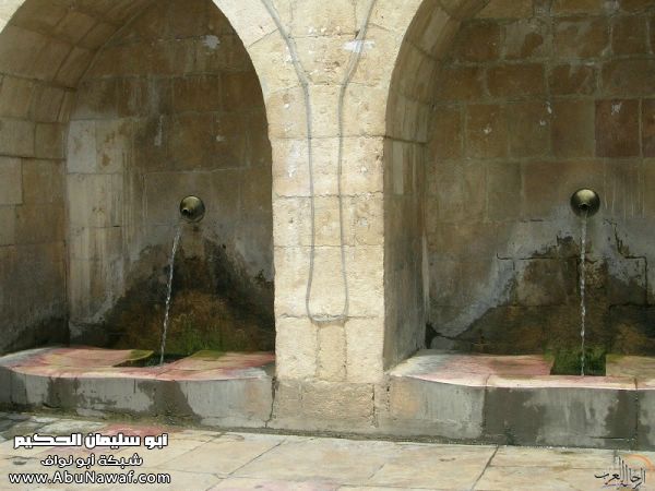 تقرير مصور رحلتي إلى لبنان (لبنان لما تزهر ) تقرير مصور رحلتي إلى لبنان (لبنان لما تزهر )