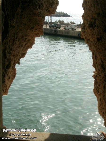 تقرير مصور رحلتي إلى لبنان (لبنان لما تزهر ) تقرير مصور رحلتي إلى لبنان (لبنان لما تزهر )
