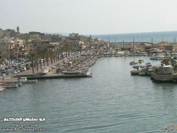 تقرير مصور رحلتي إلى لبنان (لبنان لما تزهر ) تقرير مصور رحلتي إلى لبنان (لبنان لما تزهر )