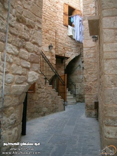 تقرير مصور رحلتي إلى لبنان (لبنان لما تزهر ) تقرير مصور رحلتي إلى لبنان (لبنان لما تزهر )