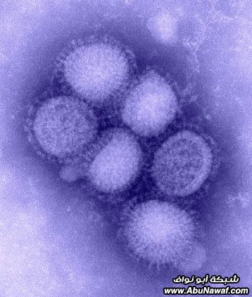    h1n1 H1N1_influenza_virus