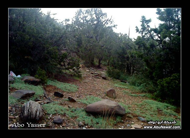 صور : من منتزة السودة السياحي