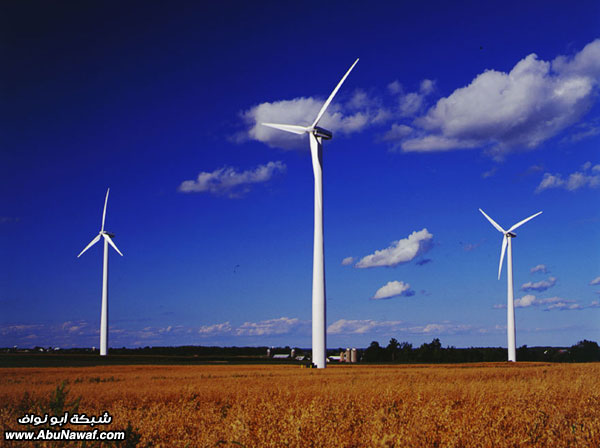     windfarm77.jpg