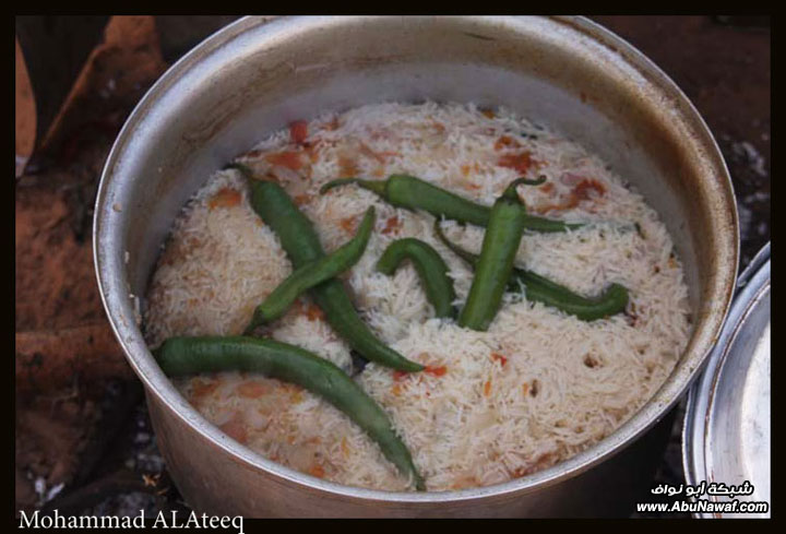 تصوير : شقراء واشيقر ولا تهون القصب