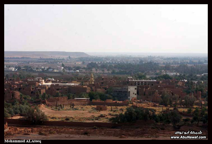 تصوير : شقراء واشيقر ولا تهون القصب