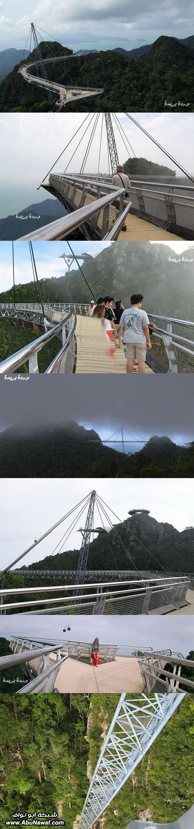 صور : جسر ماليزيا المعلق + صور منوعة