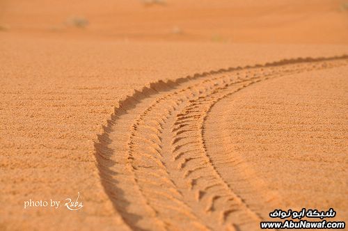 تصوير : فوتوز من فرنسا