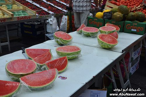 تصوير : فوتوز من فرنسا