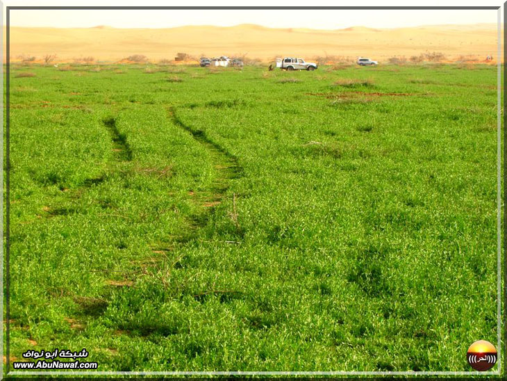 صور : فياض البريكه والبسيتنات والاجردي سبحان من أبدع هذا الجمال