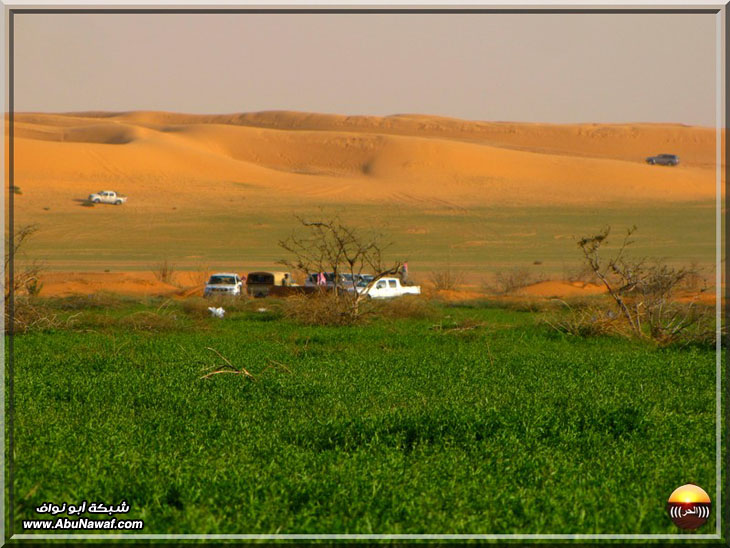 صور : فياض البريكه والبسيتنات والاجردي سبحان من أبدع هذا الجمال