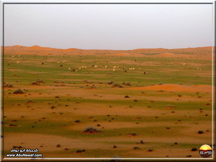 صور : فياض البريكه والبسيتنات والاجردي سبحان من أبدع هذا الجمال