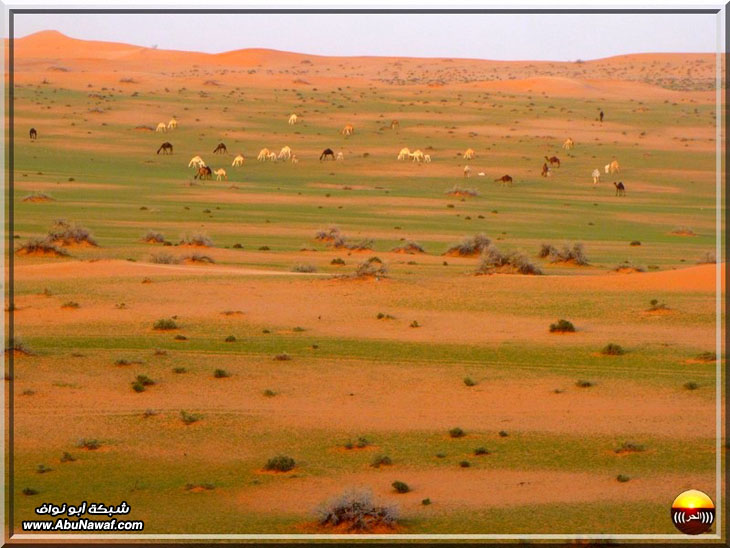 صور : فياض البريكه والبسيتنات والاجردي سبحان من أبدع هذا الجمال