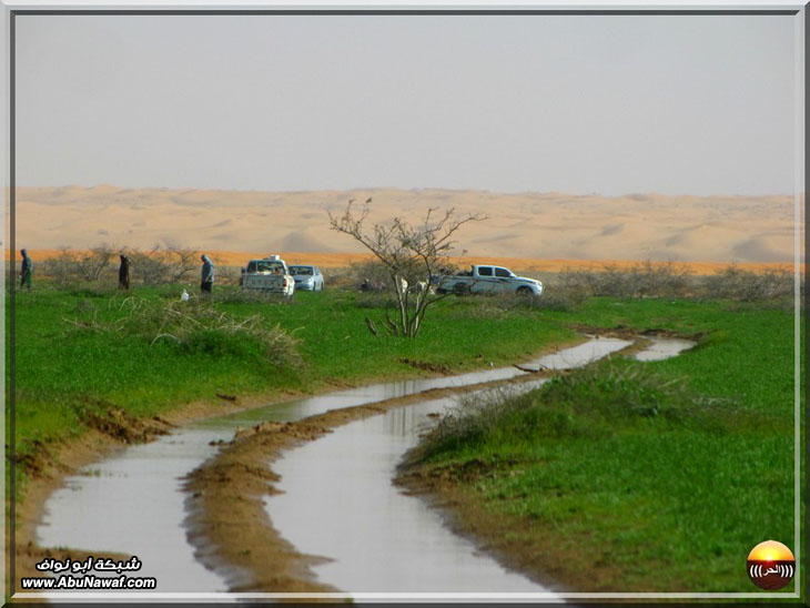 صور : فياض البريكه والبسيتنات والاجردي سبحان من أبدع هذا الجمال