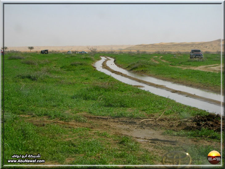 صور : فياض البريكه والبسيتنات والاجردي سبحان من أبدع هذا الجمال