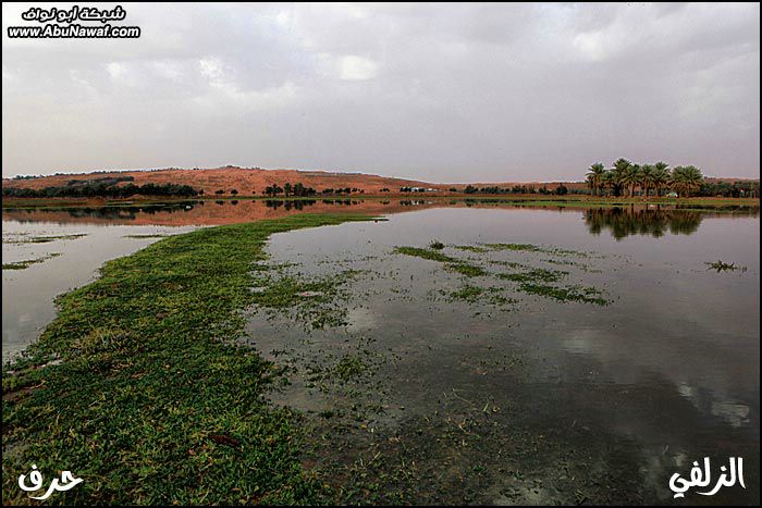 تجمد المياه في الزلفي الأثنين 24 / 2 / 1431هـ