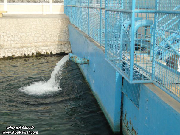 صور : زيارة لعين أم سبعة + جبل قارة