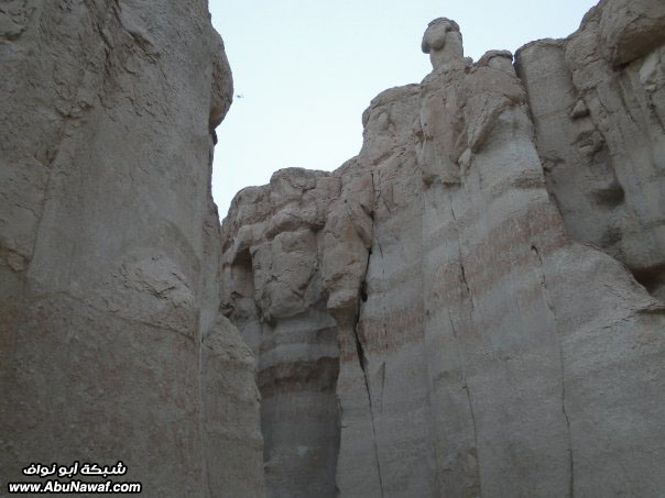 صور : زيارة لعين أم سبعة + جبل قارة