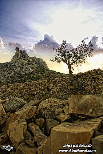 تصوير : من هنا وهناك التقاطات عدسة ‎(3)‎.