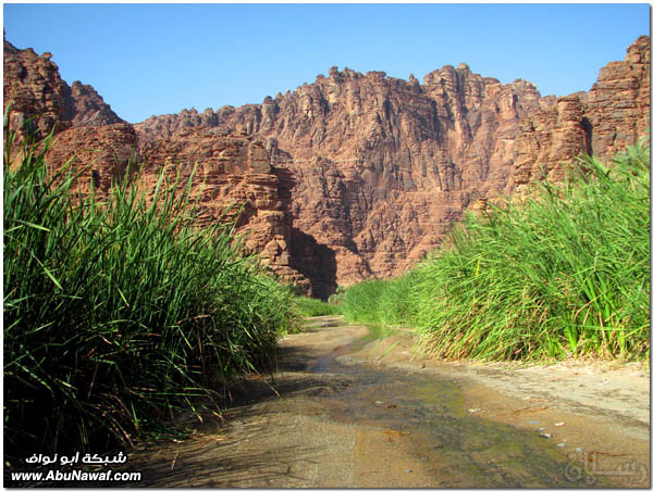 صور: رحلتي إلى معالم وآثار الشمال الغربي ‎(2)‎