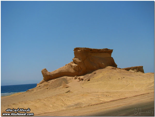 صور: رحلتي إلى معالم وآثار الشمال الغربي ‎(2)‎