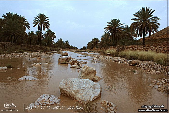 بروق وأمطار الزلفي الغزيرة ليلة 13/5/1431هـ