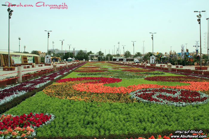 تقرير مصور : مهرجان ورود ربيع الرياض 31