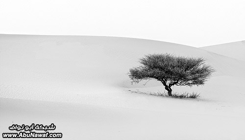 منوعات مصور هاوي