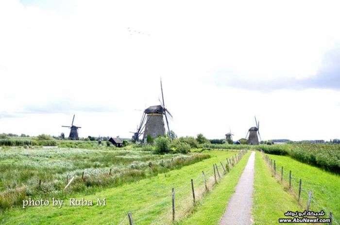 صور : رحلة إلى هولندا