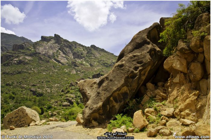 صور : لآخر غابة إستوائية في اليمن - محمية بُرَعْ الطبيعية