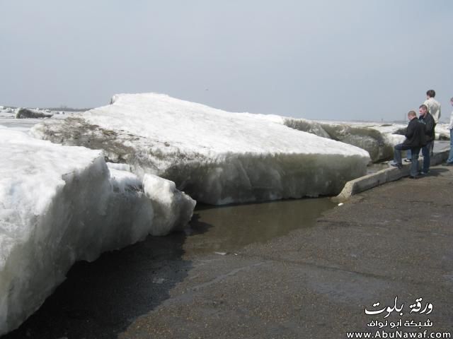 صور + فيديو : لحق على عمره الرجال